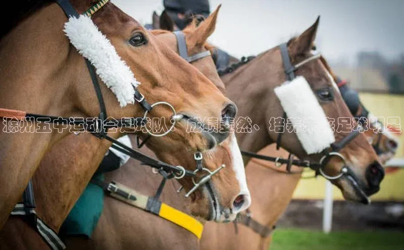 MK体育恩波利文心一言滁州五中运动会足球队：成绩斐然、培养未来足球明星