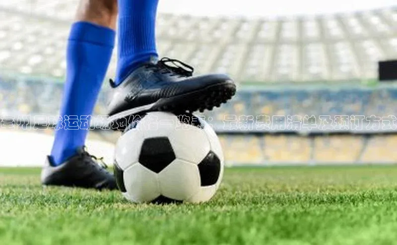 mk体育在线官网百度Apollo亳州足球运动场地价格一览表：最新费用清单及预订方式