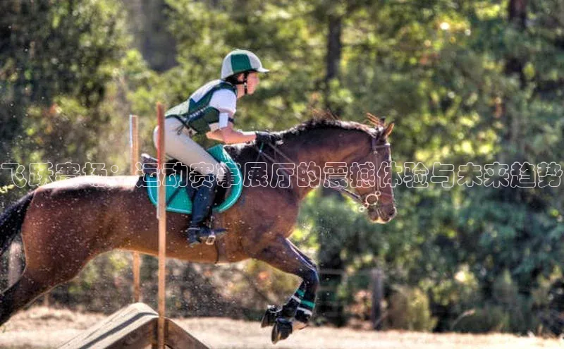 mksports官网极氪智能科技飞跃赛场：运动赛事展厅的震撼体验与未来趋势