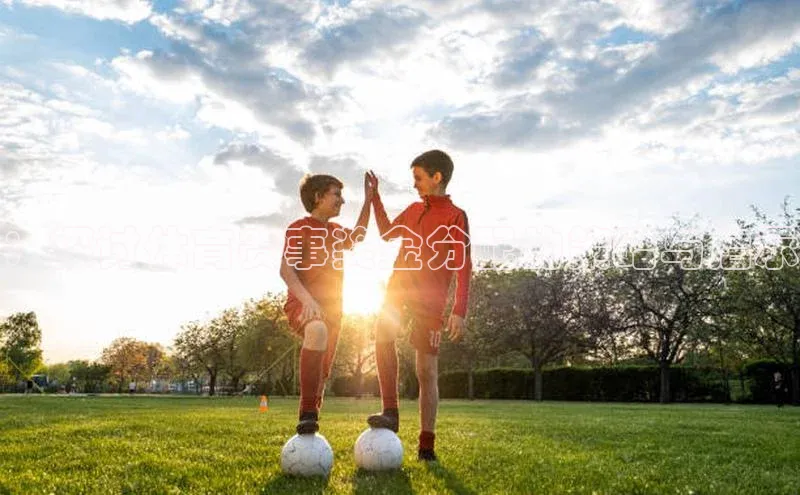 ：探讨体育赛事奖金分配的策略与启示