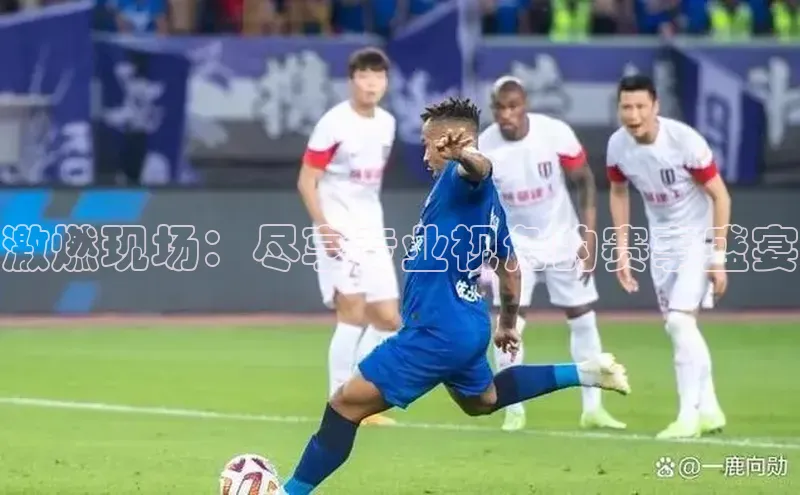 激燃现场：尽享专业视角的赛事盛宴