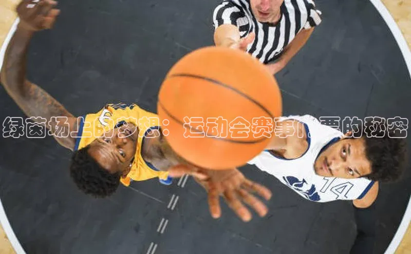 绿茵场上的梦想：运动会赛事门票的秘密