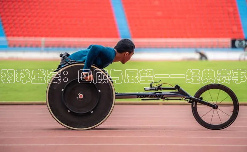 羽球盛宴：回顾与展望——经典赛事