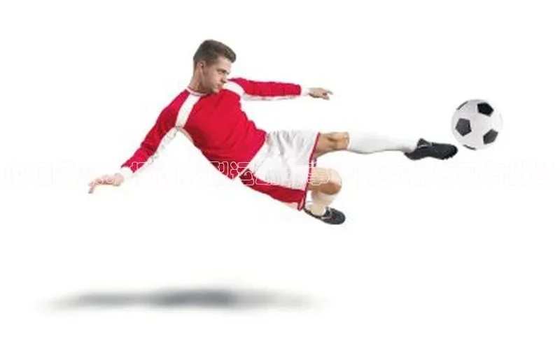 巾帼风采：探讨大型运动赛事中的女性表现与挑战