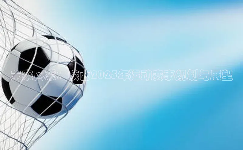 未来风采：陕西2025年运动赛事规划与展望