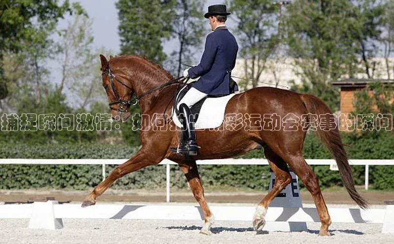 捕捉瞬间激情：如何拍出精彩运动会赛事的瞬间