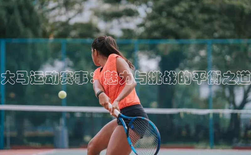 大马运动赛事：魅力与挑战的平衡之道