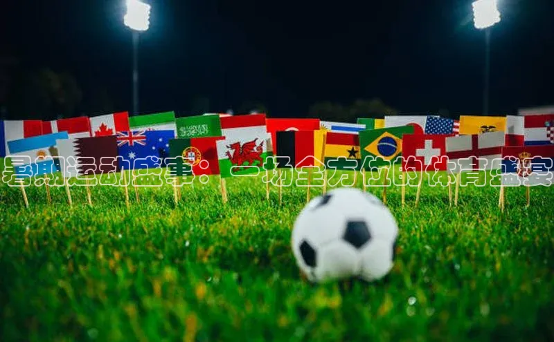 暑期运动盛事：一场全方位的体育盛宴