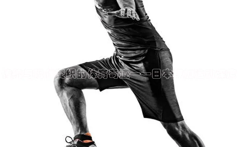 传统与现代交织的体育奇迹——日本押加运动深度