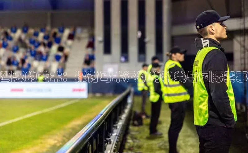 驾驭的艺术：探讨马术运动的种类与国际赛事