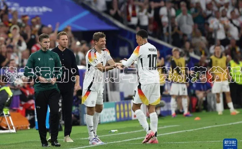 膝击运动：规则与竞赛规范分析