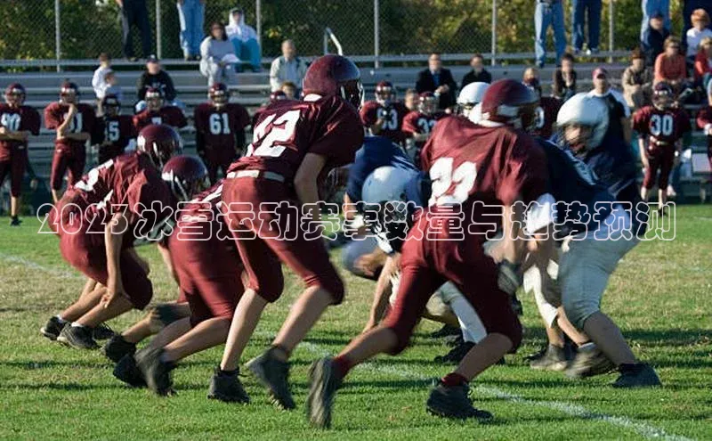 2023冰雪运动赛事数量与趋势预测