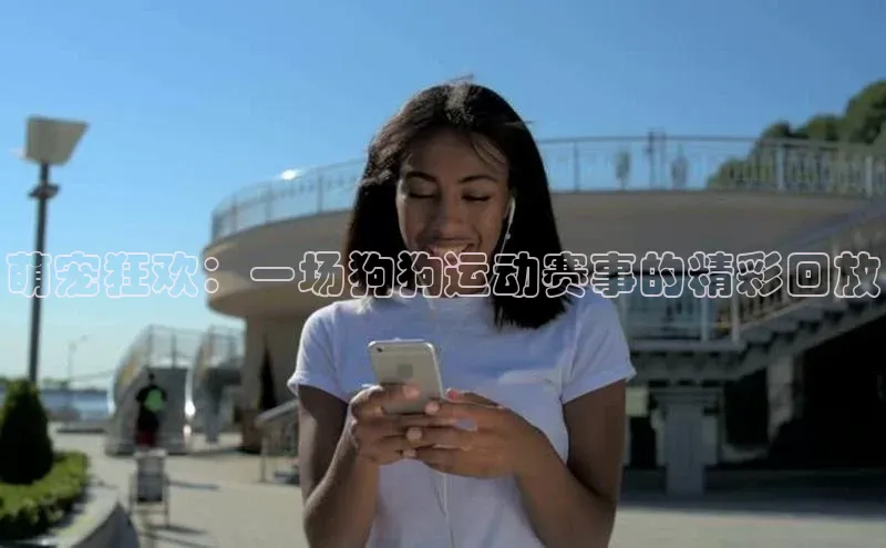 萌宠狂欢：一场狗狗运动赛事的精彩回放