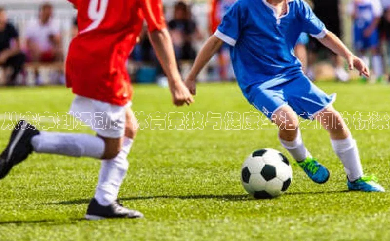 MK体育官方网站入口