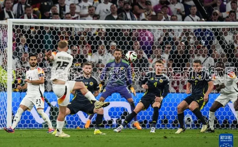 mk体育在线官网