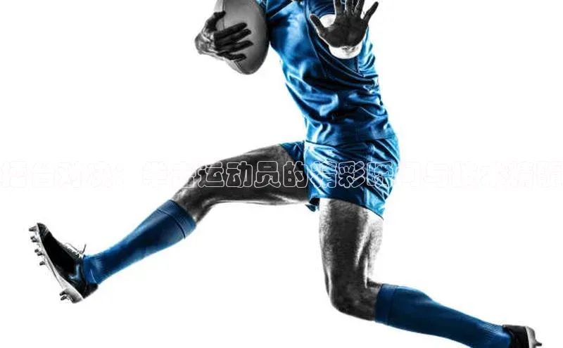 MK体育官方网站入口