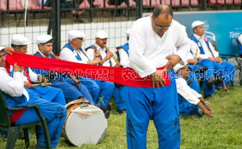 绿茵场上的农业智慧：农业运动赛事的新视角