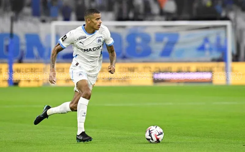 MK体育官方网站入口